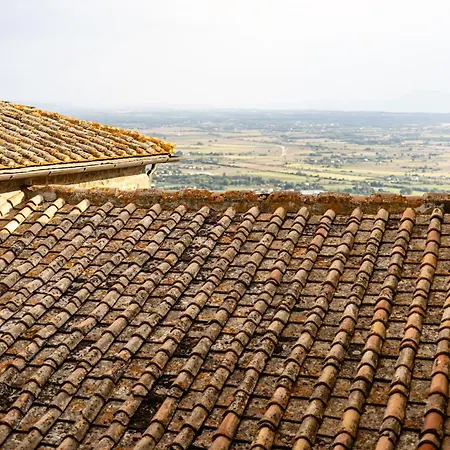 Vagnucci * Cortona